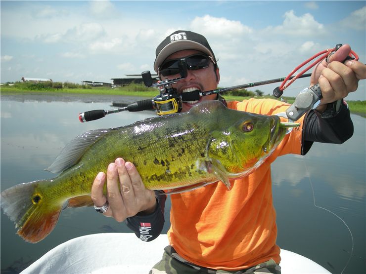 Picture Of Angler Fishing Peacock Bass