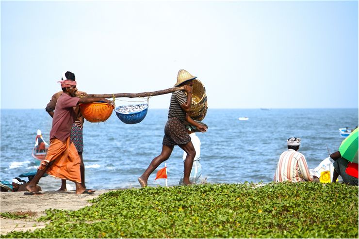 Picture Of Baskets Of Fish