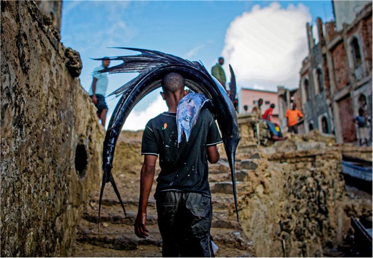 Picture Of Fish Market Selling Fish