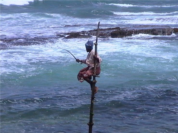Picture Of Fisherman At Sri Lanka Beach