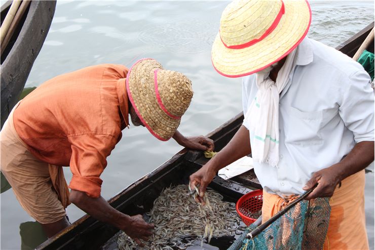 Picture Of Fishermen In India