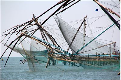 Picture Of Fishing At Fischer Port
