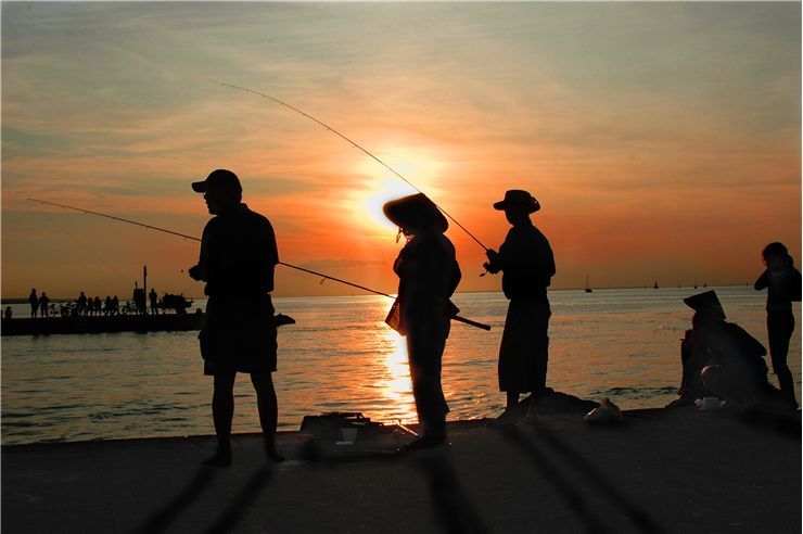 Picture Of Fishing Dusk
