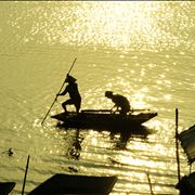 Picture Of Fishing From The Boat