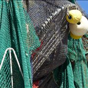 Picture Of Fishing Nets