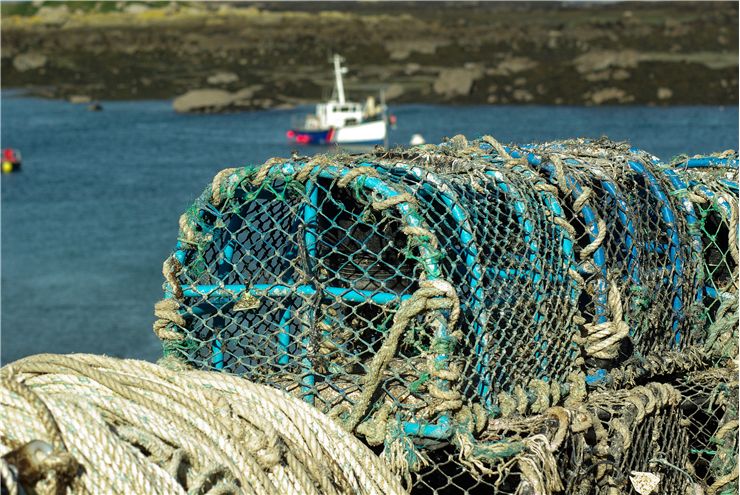 Picture Of Fishing Normandy Chausey Islands