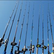 Picture Of Fishing Rods And Reels