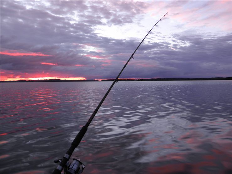 Picture Of Fishing Sport