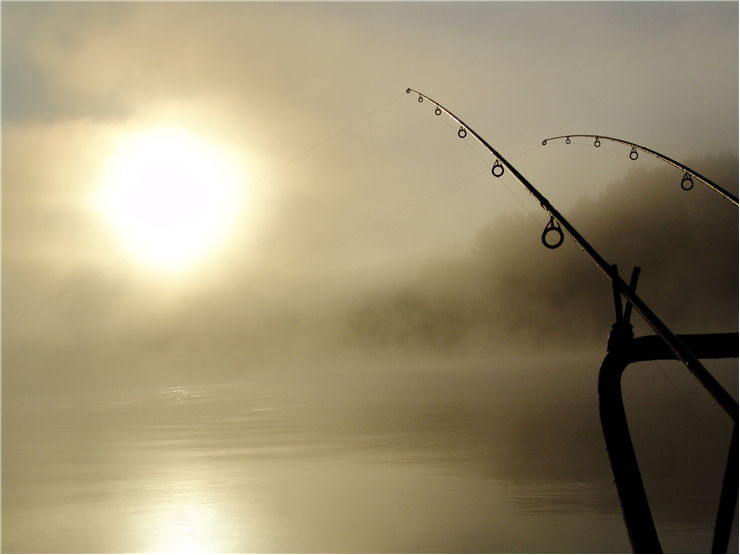 Picture Of Fishing Summer