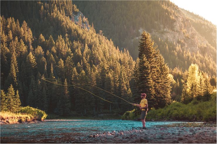 Picture Of Fly Fishing